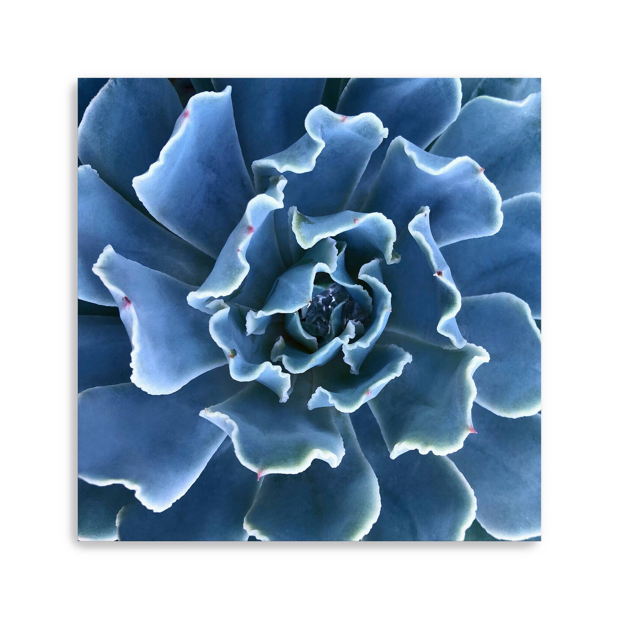 Lumaprints Ruffled Edges Canvas Wall Art